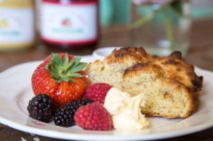 Our delicious scones and cakes are freshly made each morning. They’re always served with our berries, which are picked daily so they’re at their best.